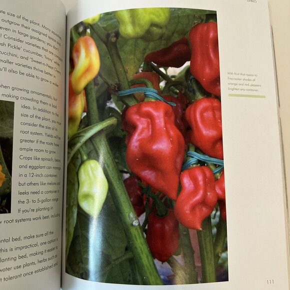 Garden Up, Susan Morrison & Rebecca Sweet, Vertical Gardening Good - Picture 4 of 7